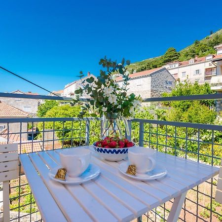 Apartments Terra Dubrovnik Kültér fotó