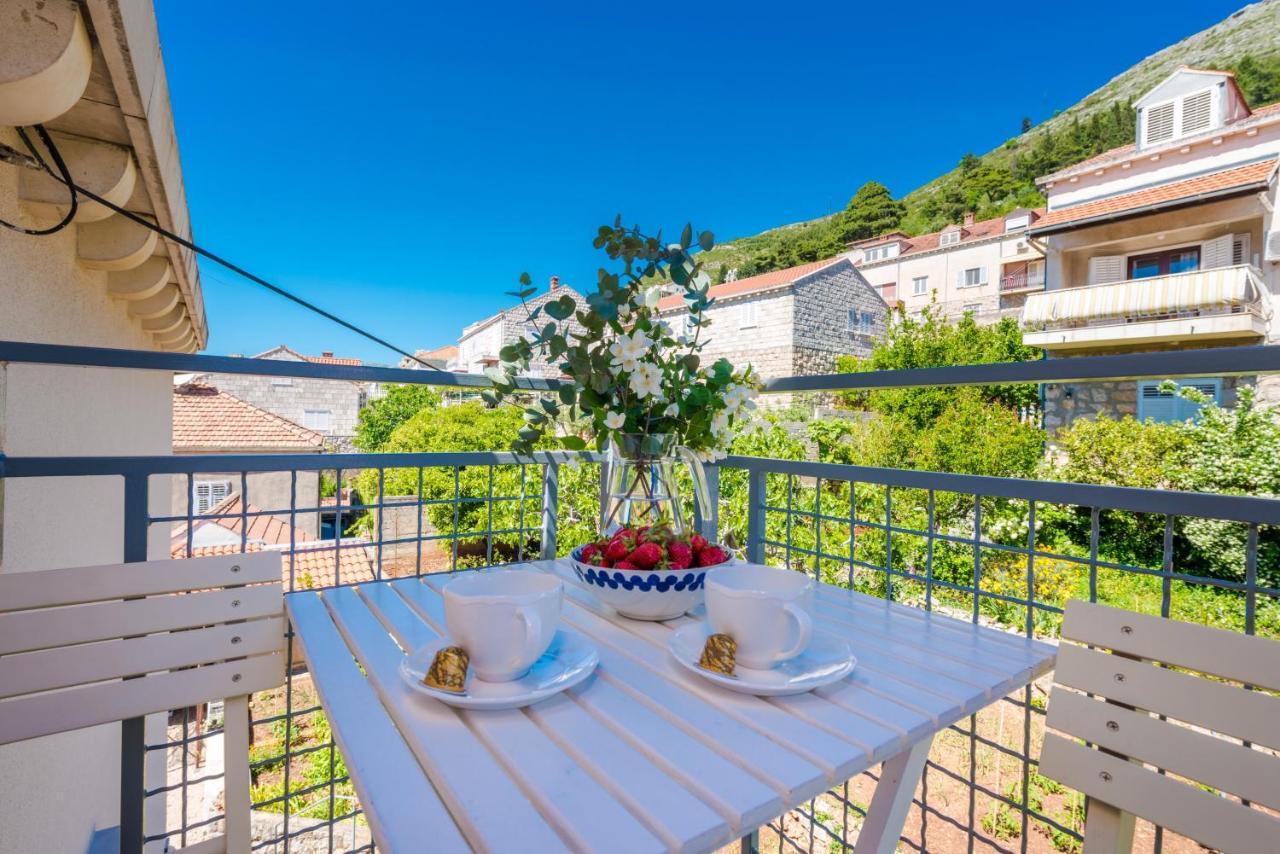Apartments Terra Dubrovnik Kültér fotó